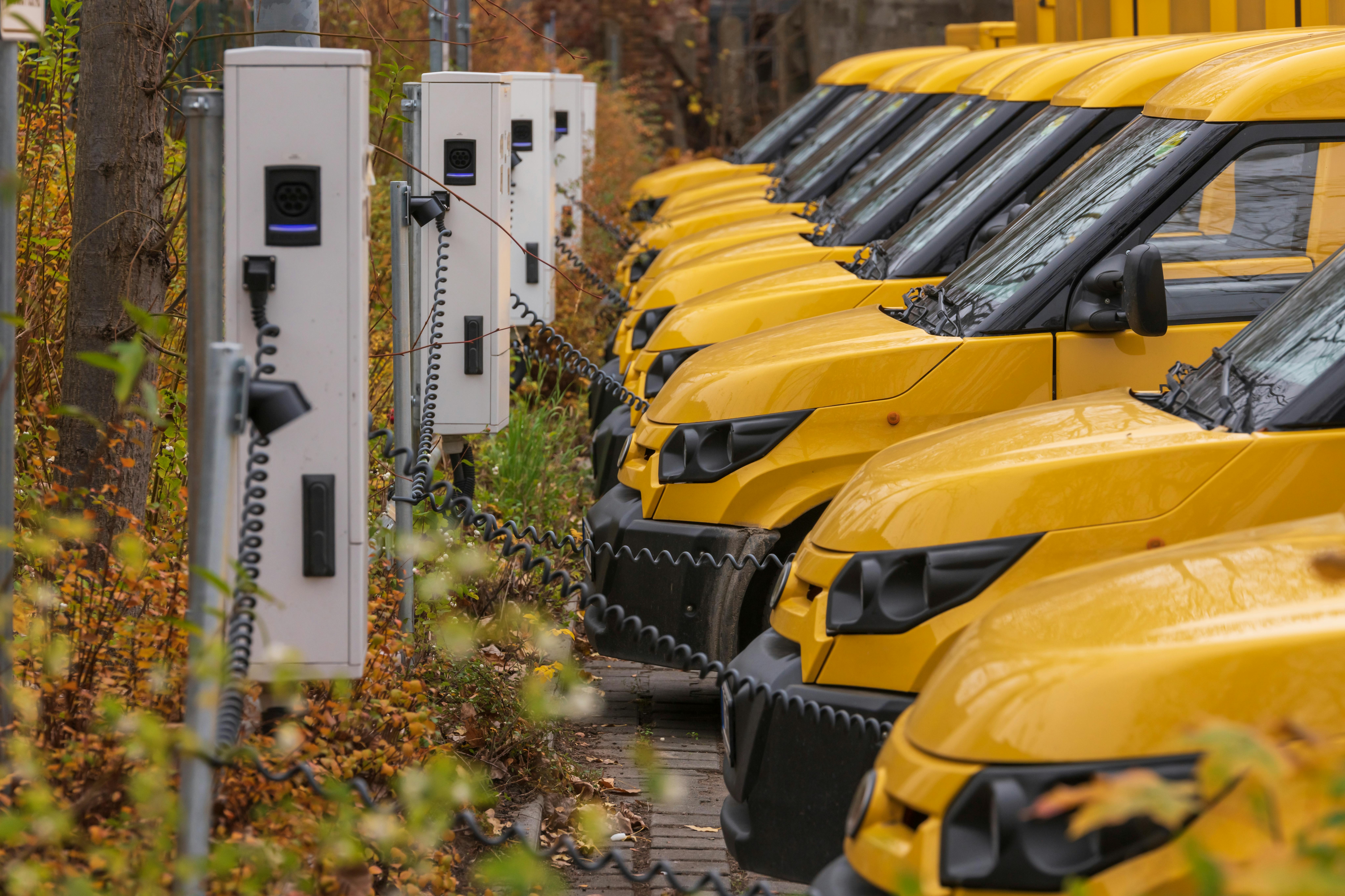Photo shows a line of yellow electric cars plugged in to charging points