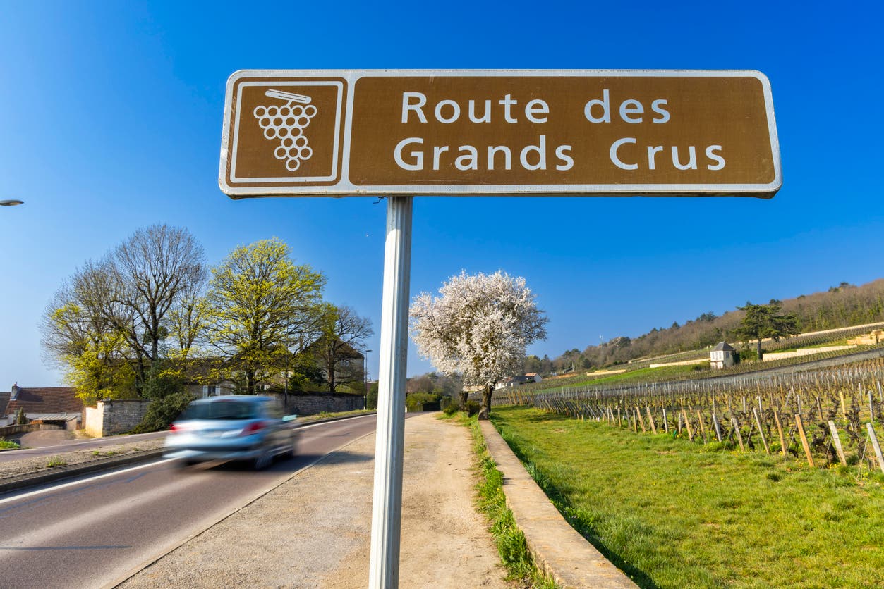 <p>Wine road (Route des Grands Crus) near Beaune, Burgundy, France</p>