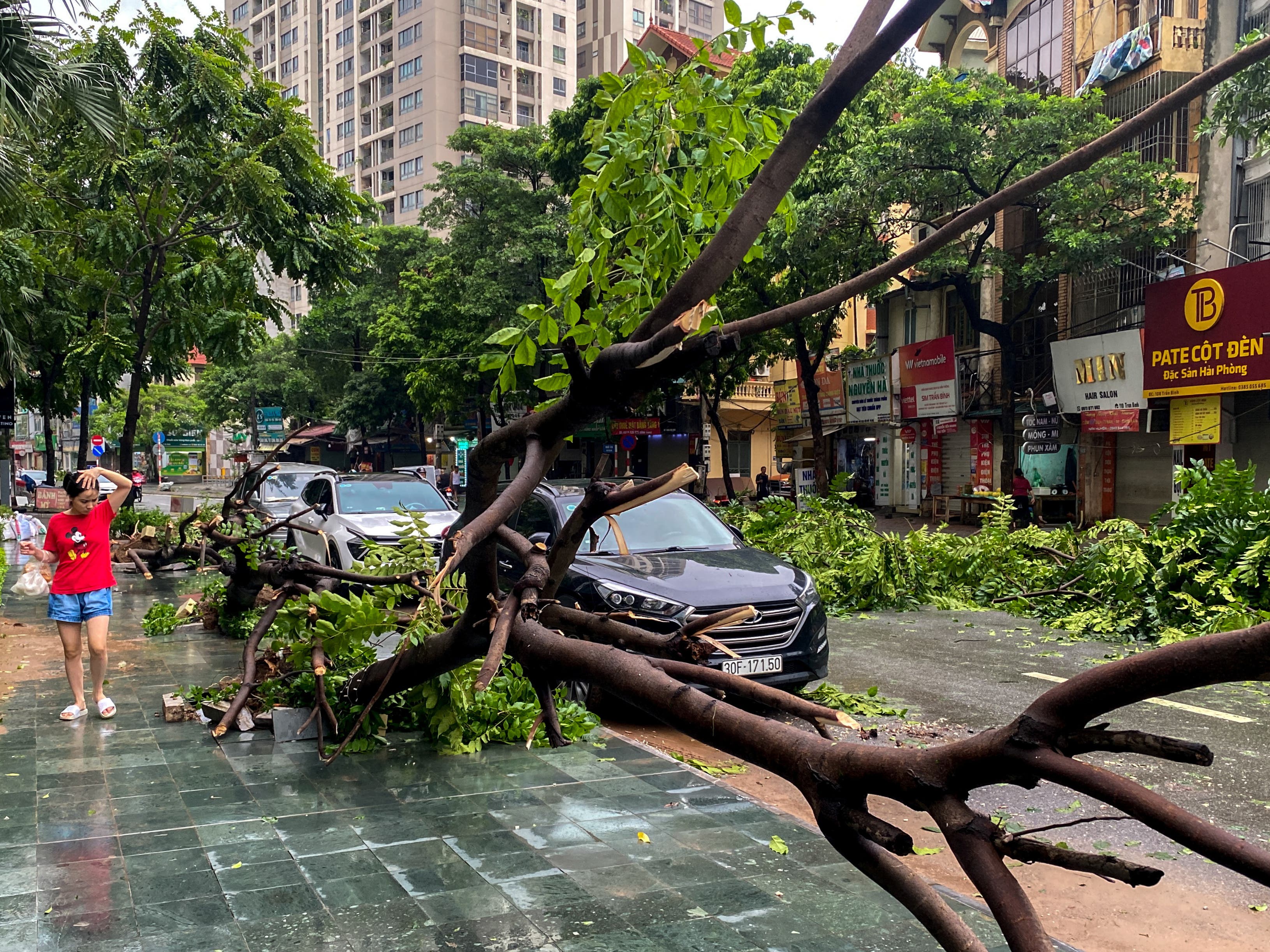 <p>A woman walks past a fallen tree following the impact of Typhoon Yagi, in Hanoi, Vietnam, 8 September 2024</p>