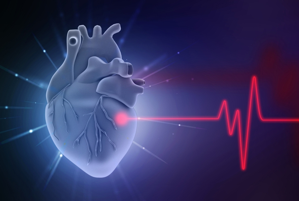 illustration of a heart with an EKG reading next to it
