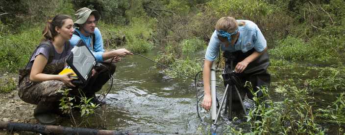 Water Resource Services