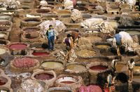 tannery; Fès, Morocco