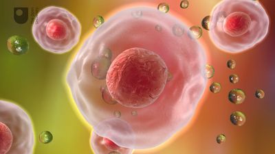 similarities and differences between cells