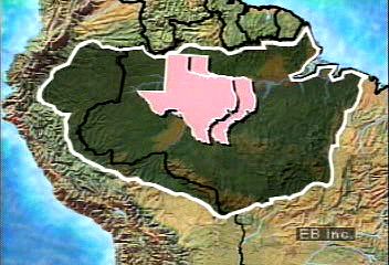 Compare the expanse of the Amazon Basin with the U.S. state of Texas