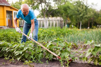 garden hoe