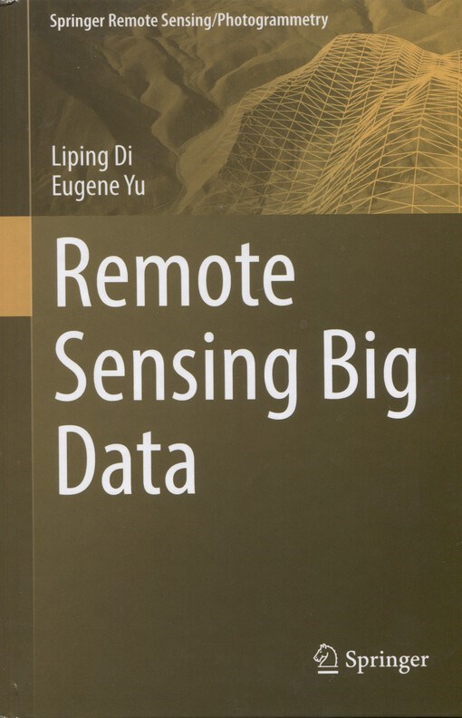 Remote sensing big data