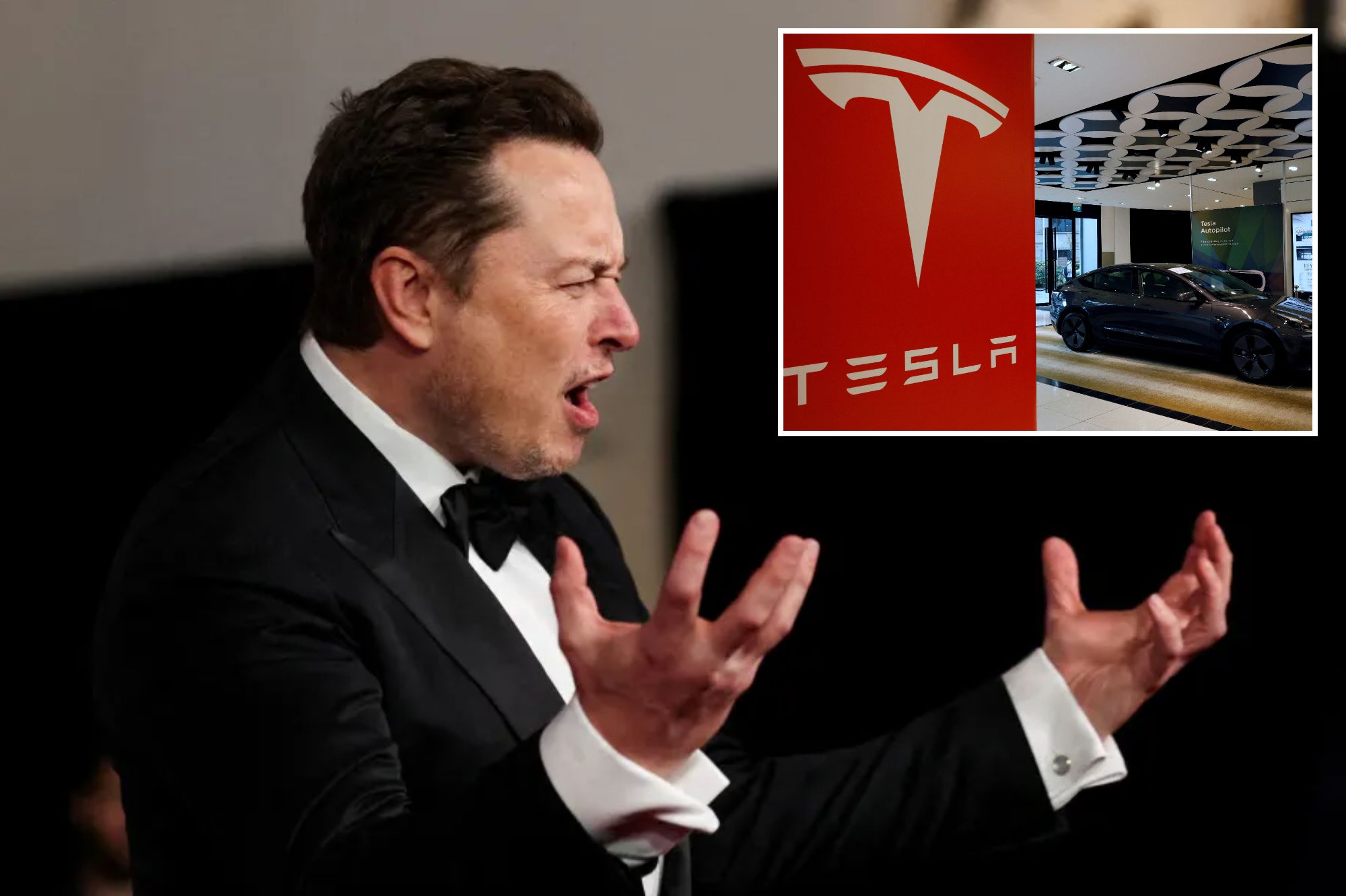Tesla CEO Elon Musk and Tesla electric car