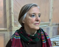 A white woman with streaked grey hair  and multicolored scarves.