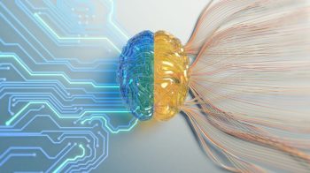 Meta AI announces long-term study on human brain and language processing