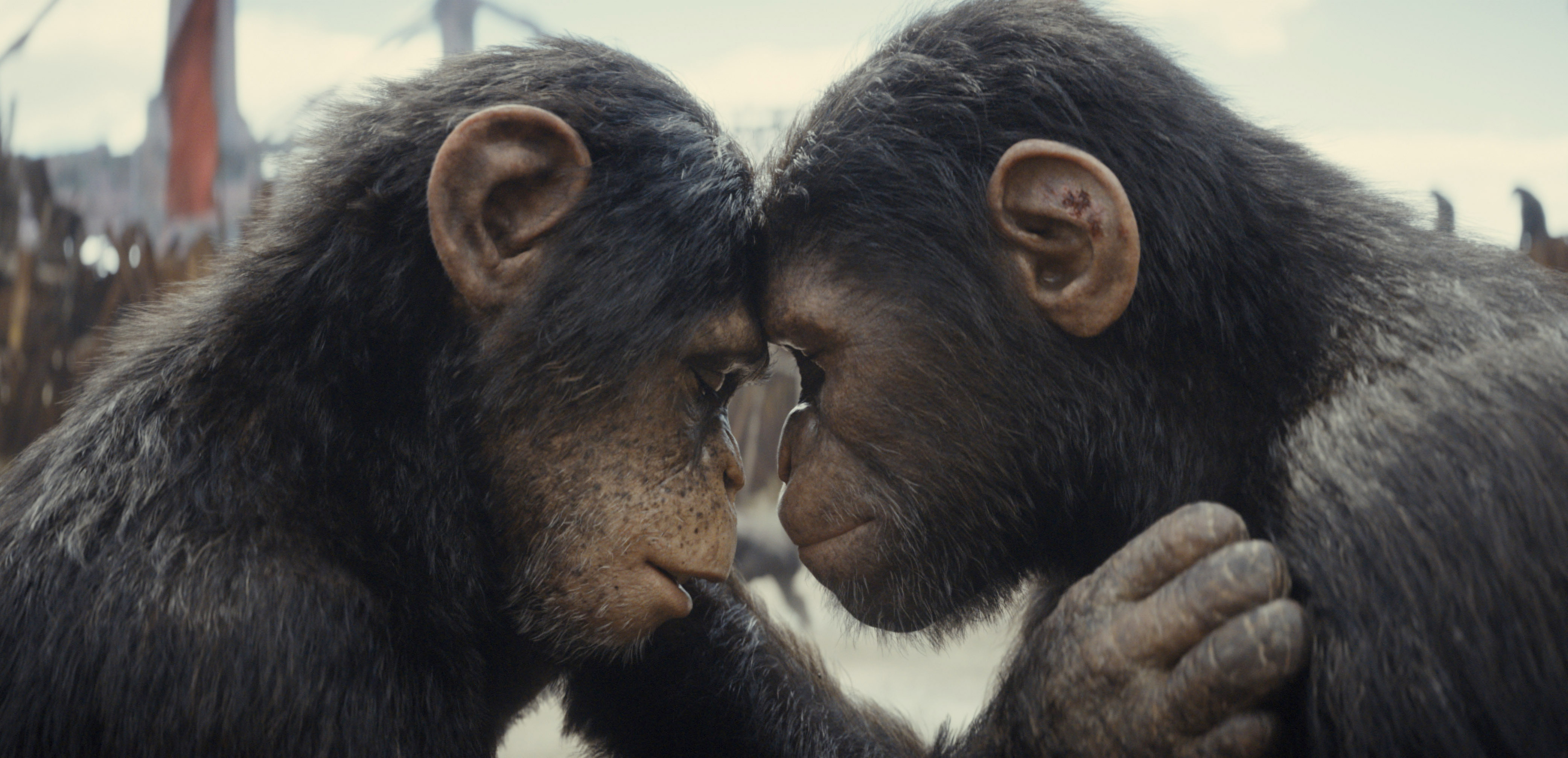 Kingdom Of The Planet Of The Apes has lifelike simians but lacks humanity
