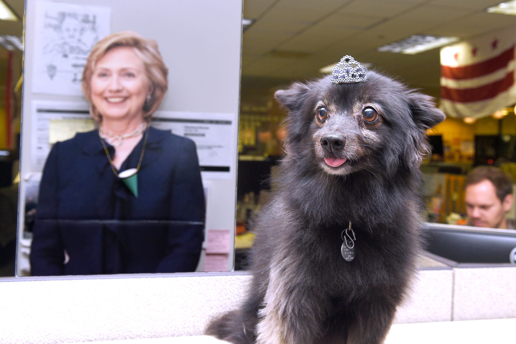 Winnie sits in Hillary Clinton’s Brooklyn campaign headquarters.