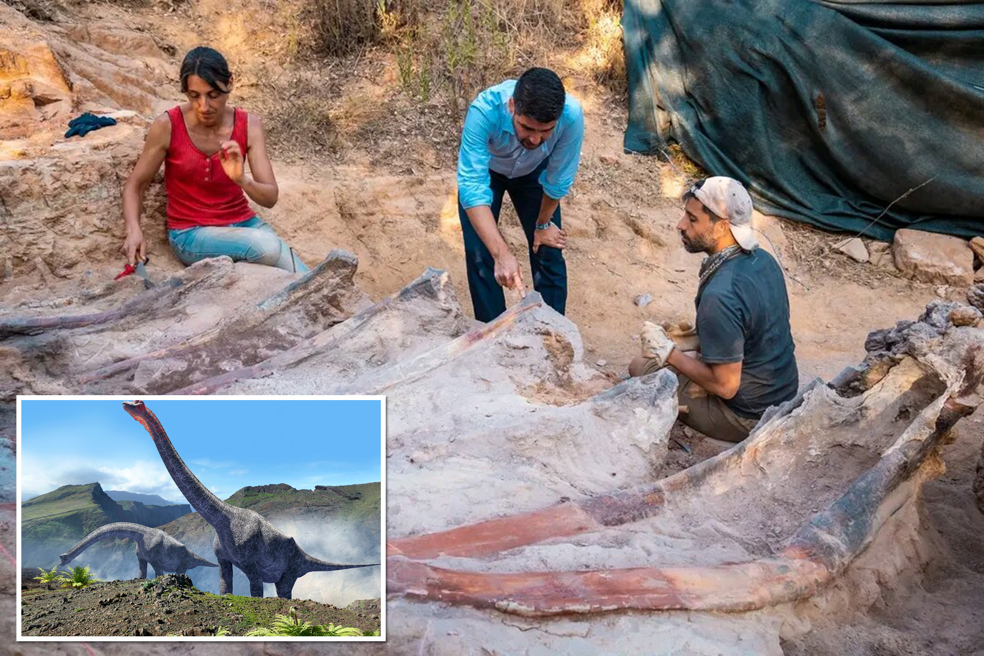 An international team of researchers has unearthed a skeleton (center) possibly belonging to a sauropod dinosaur (artistic rendering, bottom left) measuring 39 feet in height and 82 feet in length, which would make it the largest ever found in Europe. 