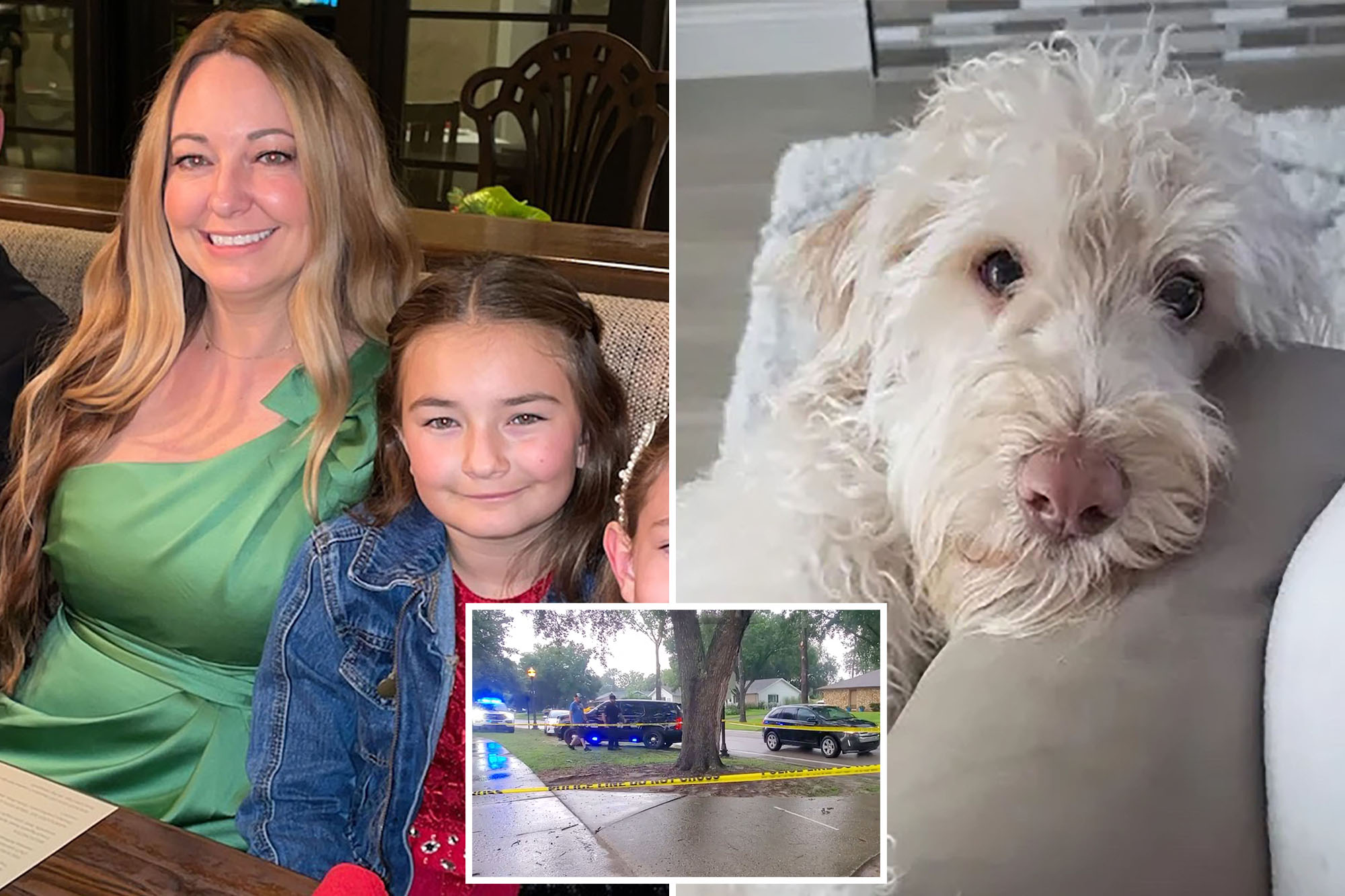 New 911 calls have been released after lightning struck a mother, her young daughter and their family dog at a Winter Springs park this week. Tragically, the mother was killed.