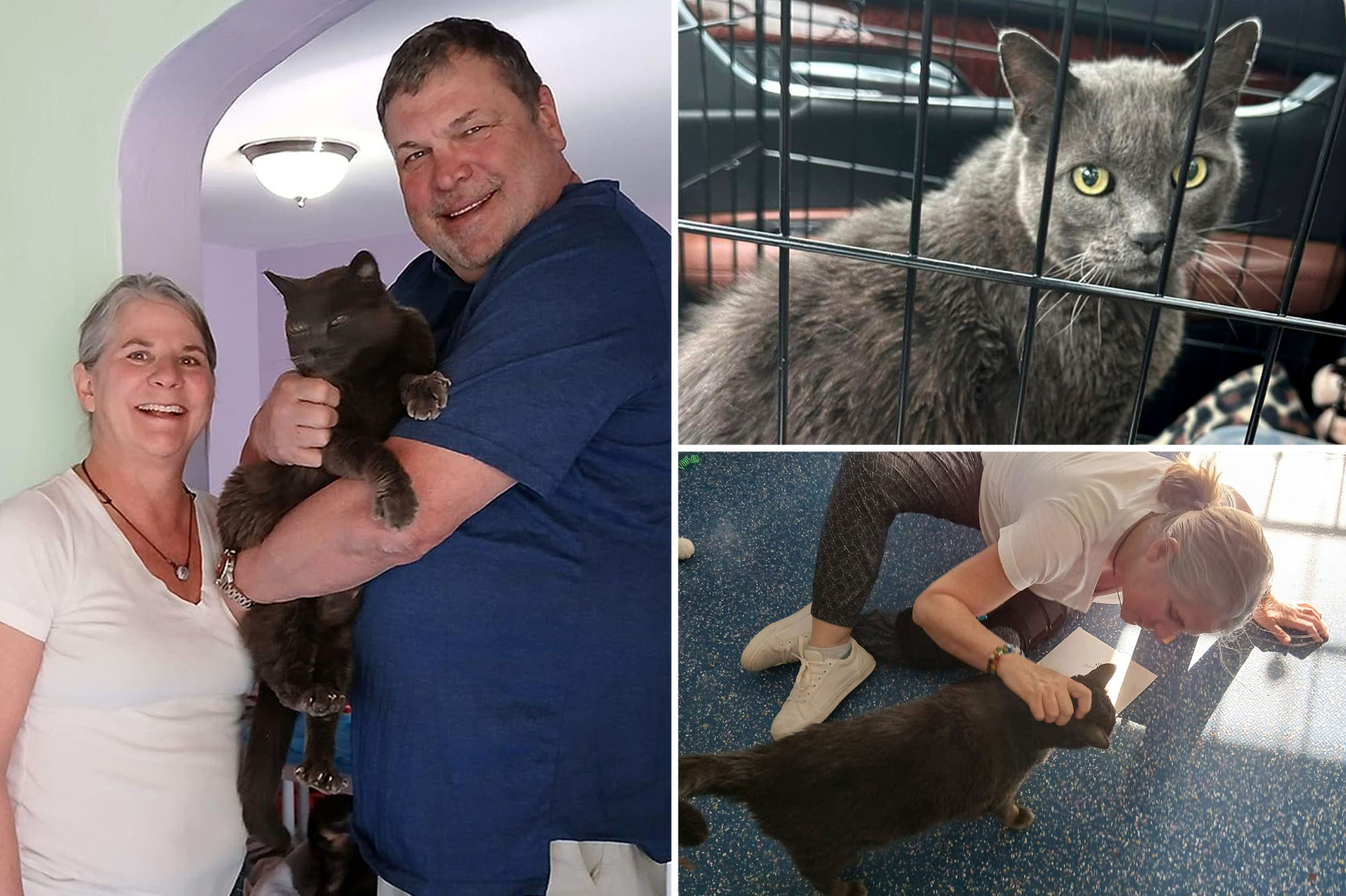 Cindy and Jeff Hall, oif Nevada, received their own "miracle" when they were reunited with their lost cat, Sam, who had found himself more than 1,200 miles away in Arkansas.