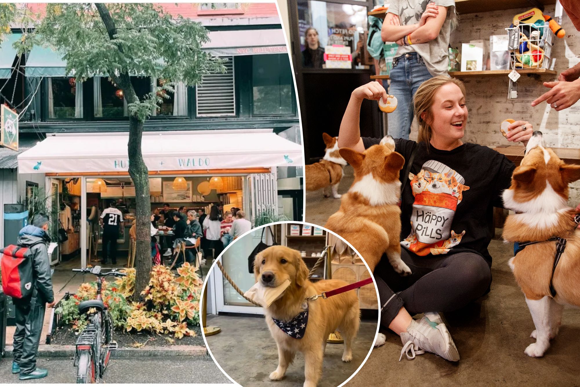 To get your day started on a paw-sitively wonderful note, head to these dog-friendly haunts where pups are welcomed with tail-wagging treats, a chance to make friends and even special events.