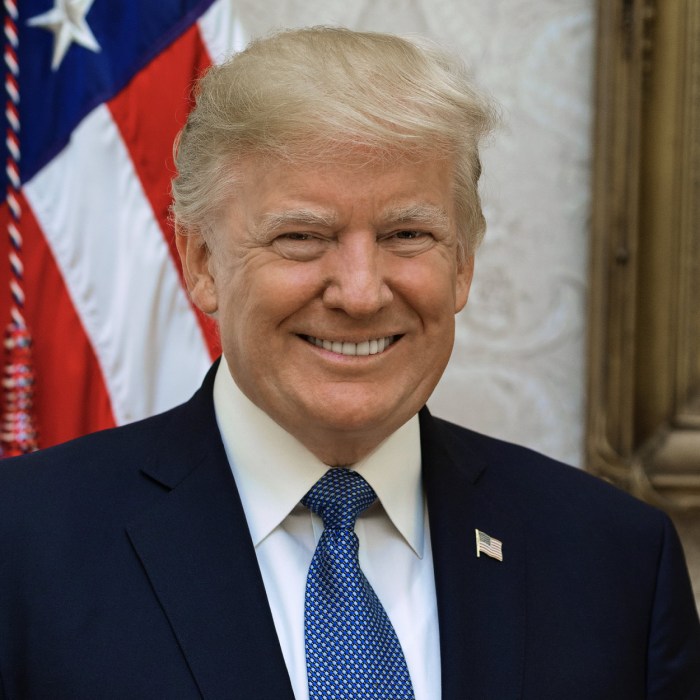 Portrait of Donald J. Trump, the 45th President of the United States