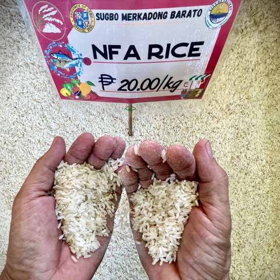 What to expect from changes in rice tariffication law? First, a more powerful NFA.