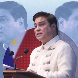 Migz Zubiri, 24th Senate president