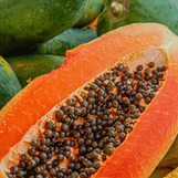 Get 4 kilos of papaya for P220 from Nueva Vizcaya farmers