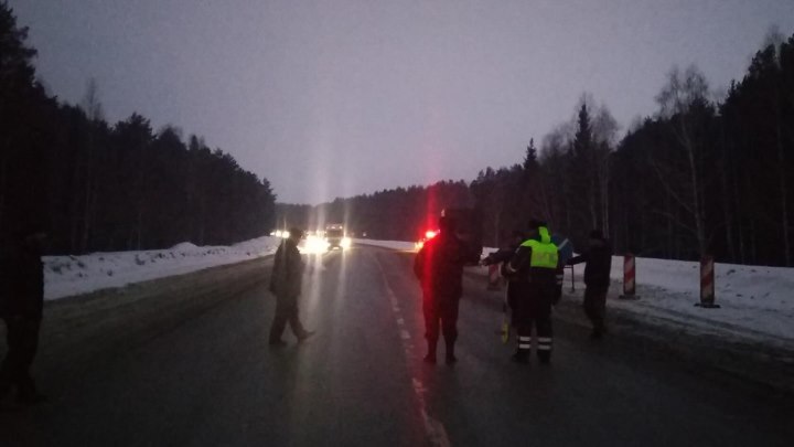 Отстал от автобуса - погиб на ночной трассе.