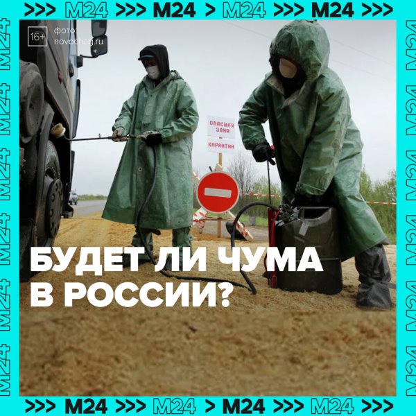 На приграничных территориях с РФ есть очаги чумы — Москва 24