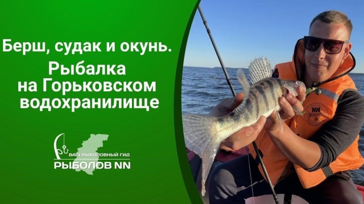 Судачки, берши и окуни. Рыбалка и отдых на Горьковском водохранилище.