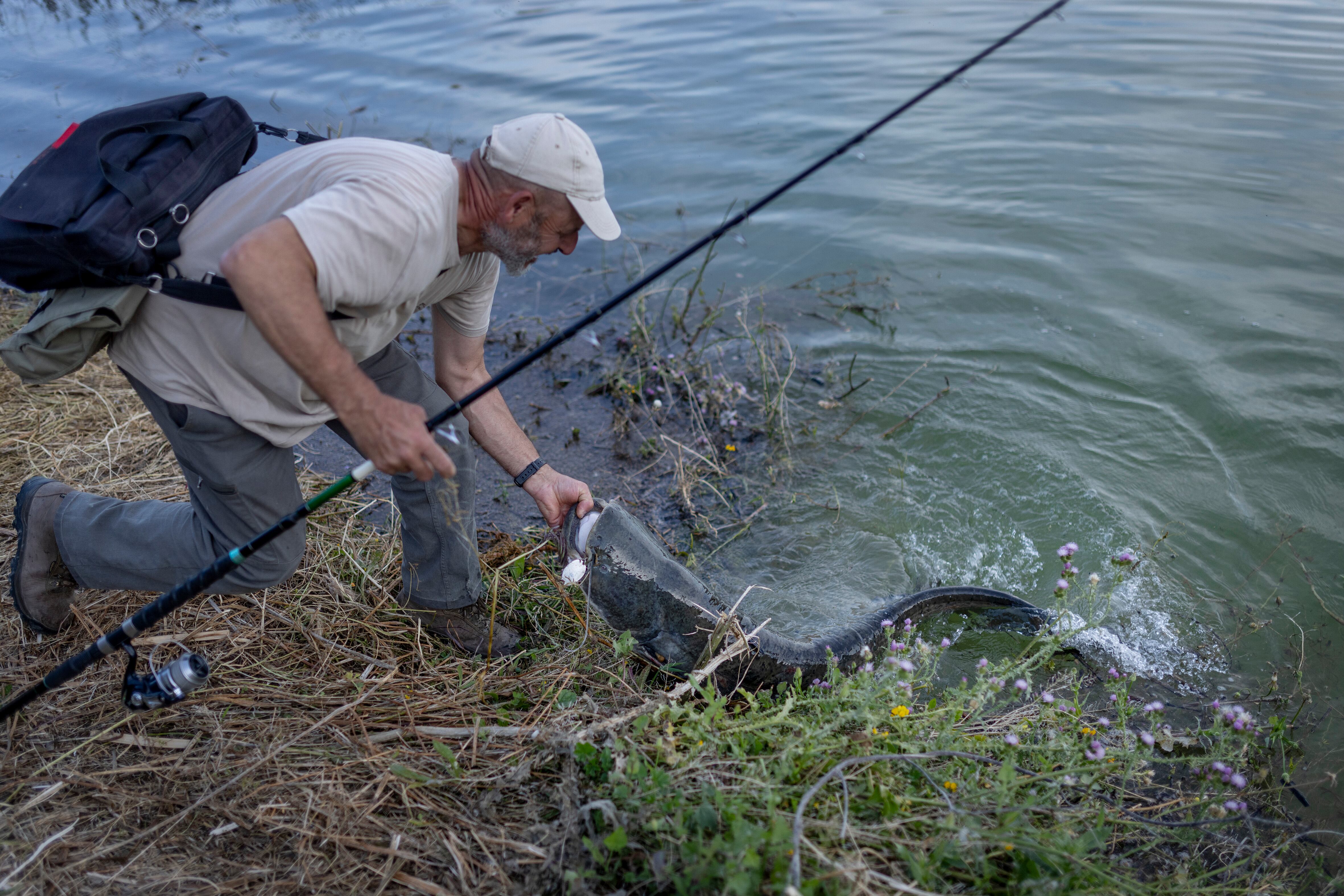 Fisherman José Manuel García lands a catfish in the Iznájar reservoir (Córdoba).