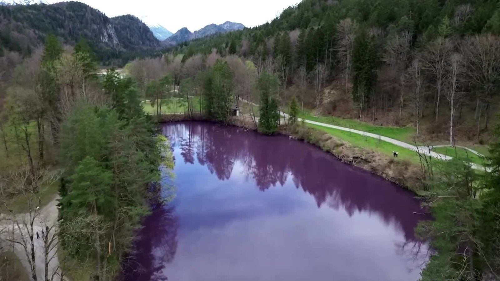 Vokietijoje lankytojai plūsta pamatyti violetine spalva bakterijų nudažyto ežero