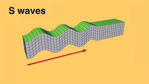 S waves travel through an elastic medium in curved paths and shear the medium in one direction and then another