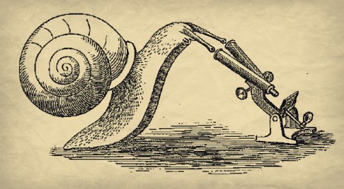 Snail and Microscope