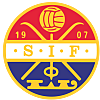 Strømsgodset team-logo