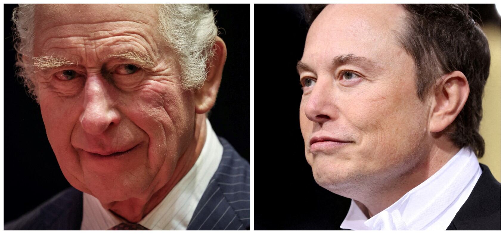 Charles III, King of England (left), and Elon Musk.