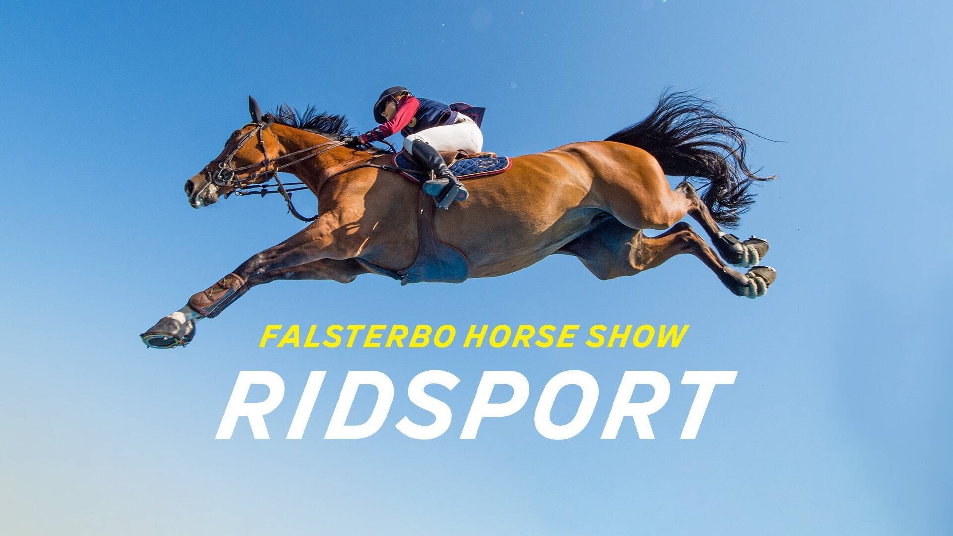 Falsterbo horse show