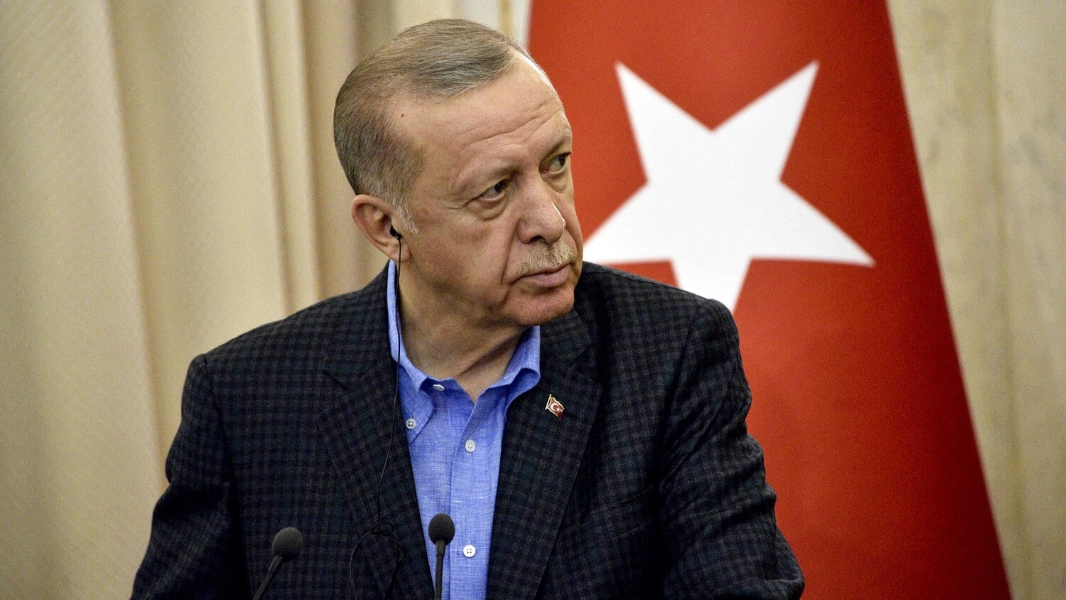 Эрдоган объяснил беспорядки в Турции ядовитостью оппозиции