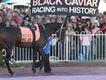 Legendary Australian racehorse Black Caviar, trained by Peter Moody, has died. (David Crosling/AAP PHOTOS)