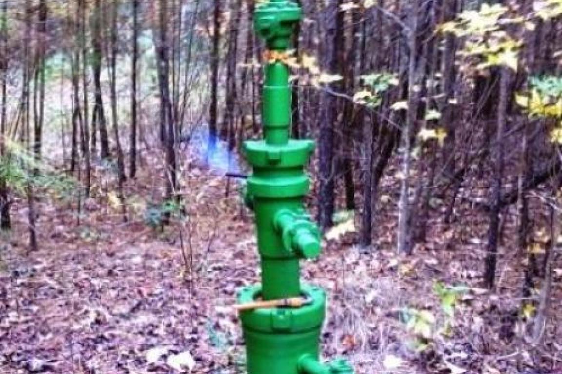 Butler wellhead