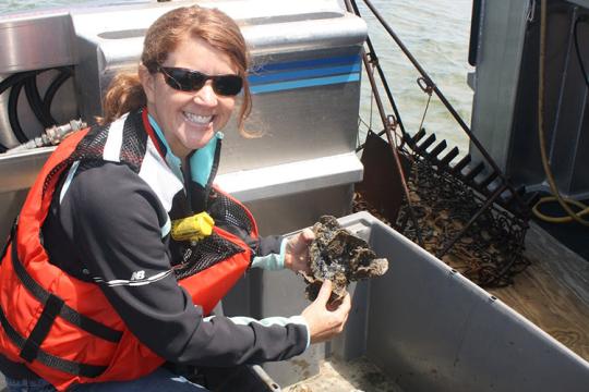 A person on a boat wearing a life vest and sunglasses holds a clump of oysters