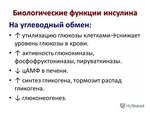 На что влияет инсулин. Биологическая роль инсулина. Основные функции инсулина. Инсулин функции кратко. Функции инсулина в организме человека.