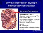 Вырабатывается гепатоцитами содержит инсулин и глюкагон. Альфа клетки островков Лангерганса вырабатывают. Островки Лангерганса функции. Бета-клетках островков Лангерганса поджелудочной железы.. Альфа и бета клетки островков Лангерганса.