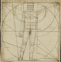 [Estudio de proporciones anatómicas]