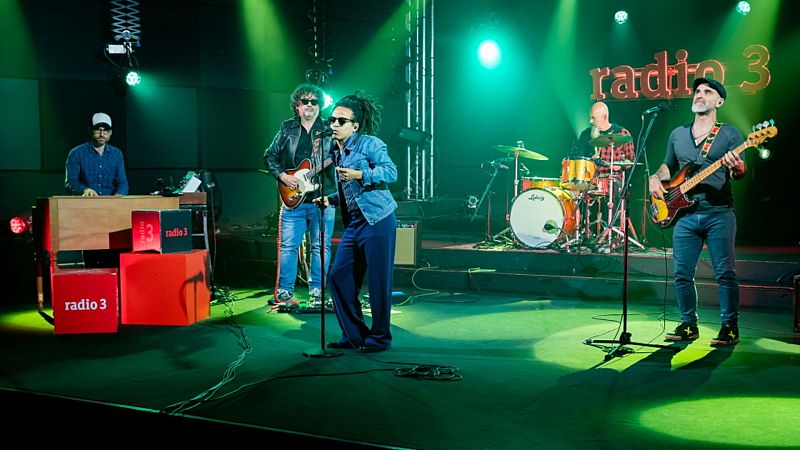 Los conciertos de Radio 3 - The Groove Family - ver ahora