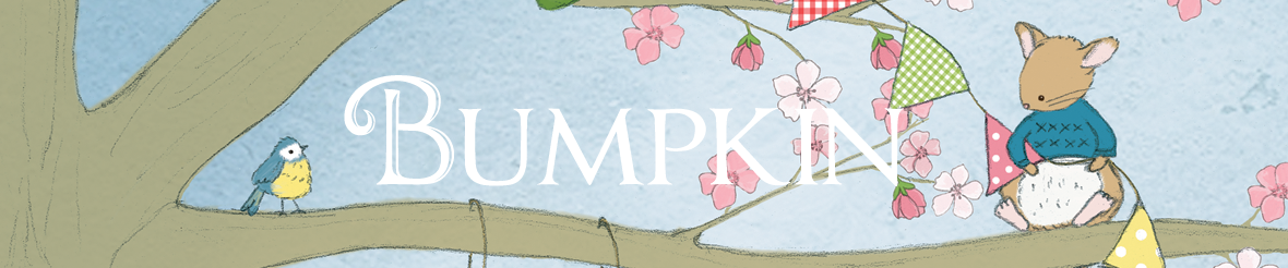 Bumpkin Bears and Friends