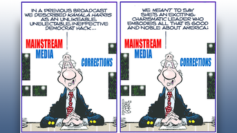 Political cartoons of the day - Fox News