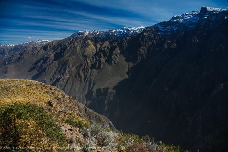 colca01 800x533      