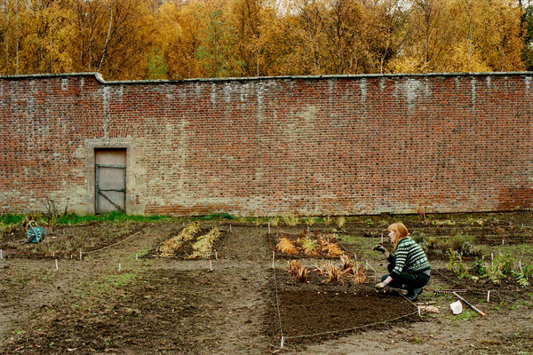 The Pyrus Garden