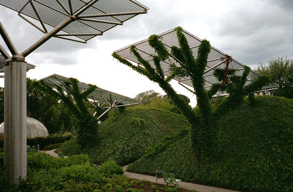 The University of Warsaw Roof Garden