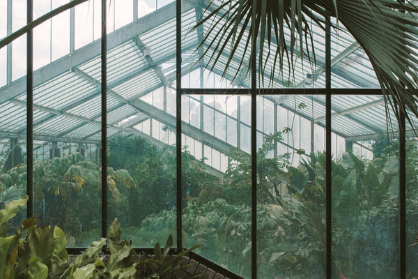 Princess of Wales Conservatory