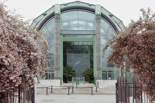 Jardin des Plantes