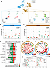 Vascular remodeling alters intercellular signaling in human pulmonary arter