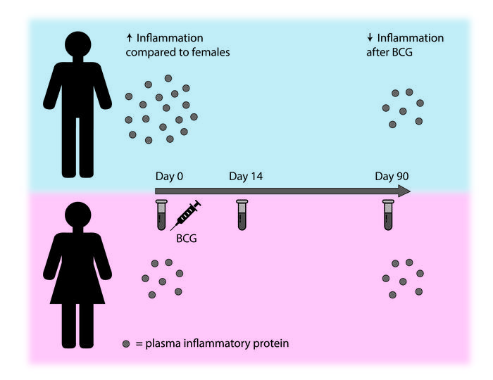 graphical abstract